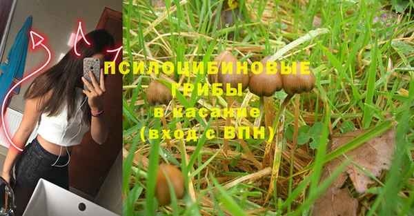 стаф Балабаново