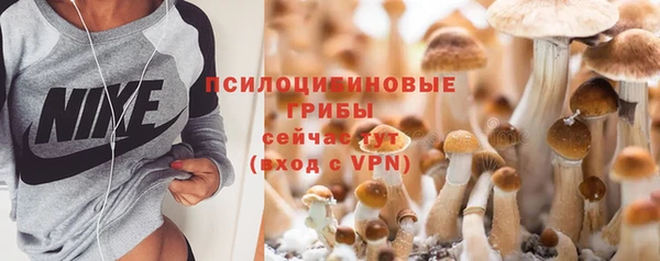 тгк Баксан
