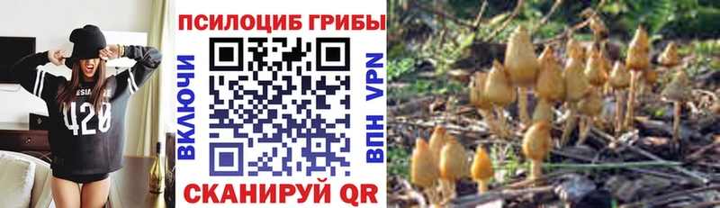 Галлюциногенные грибы Psilocybine cubensis  маркетплейс состав  Лесной 